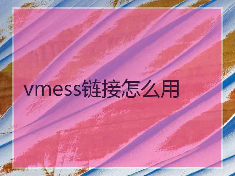 vmess链接怎么用