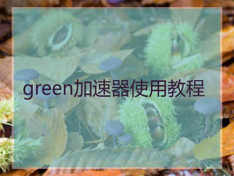 green加速器使用教程