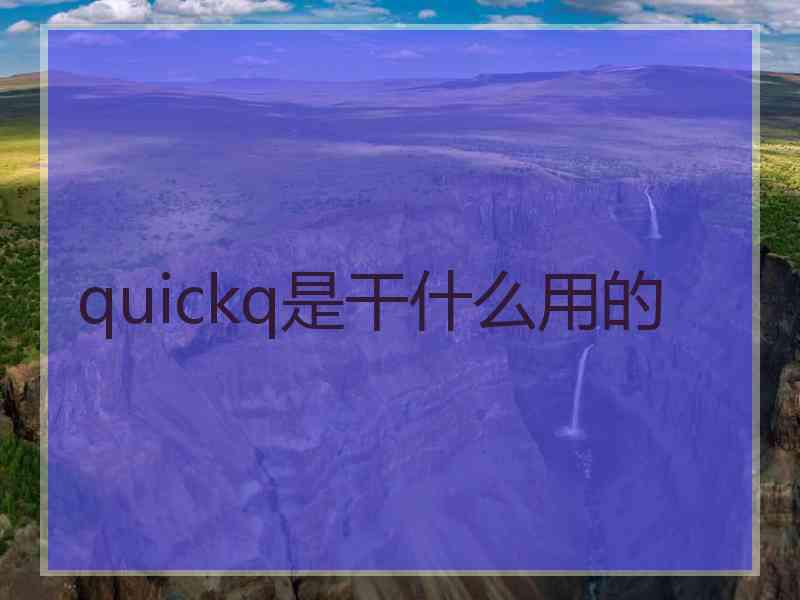 quickq是干什么用的