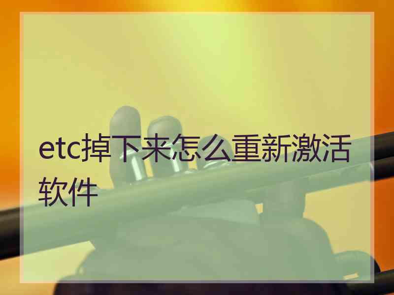 etc掉下来怎么重新激活软件