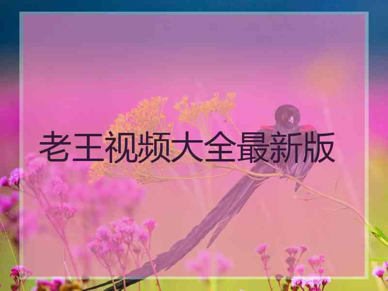 老王视频大全最新版