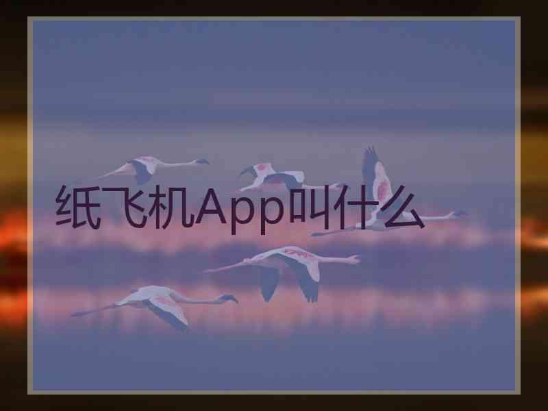 纸飞机App叫什么