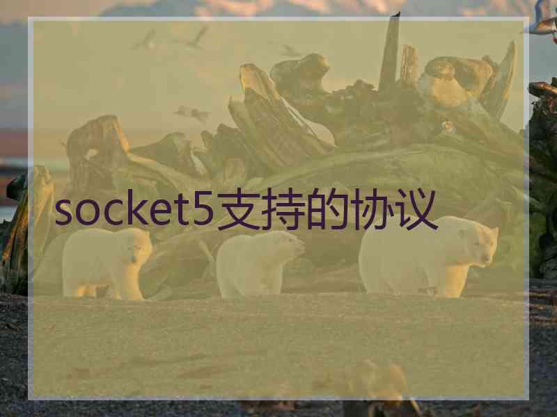 socket5支持的协议