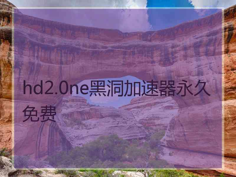 hd2.0ne黑洞加速器永久免费