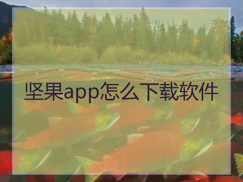 坚果app怎么下载软件