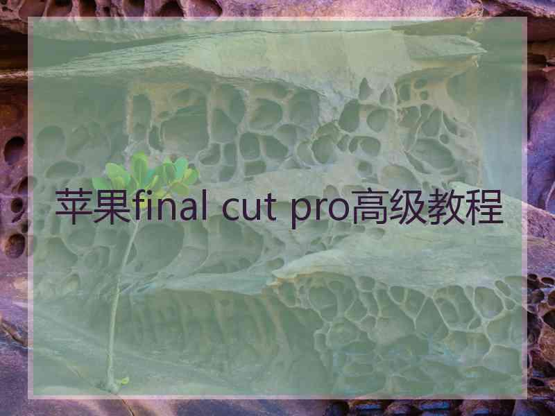 苹果final cut pro高级教程