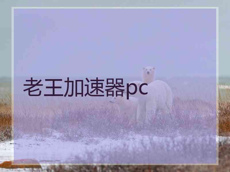 老王加速器pc