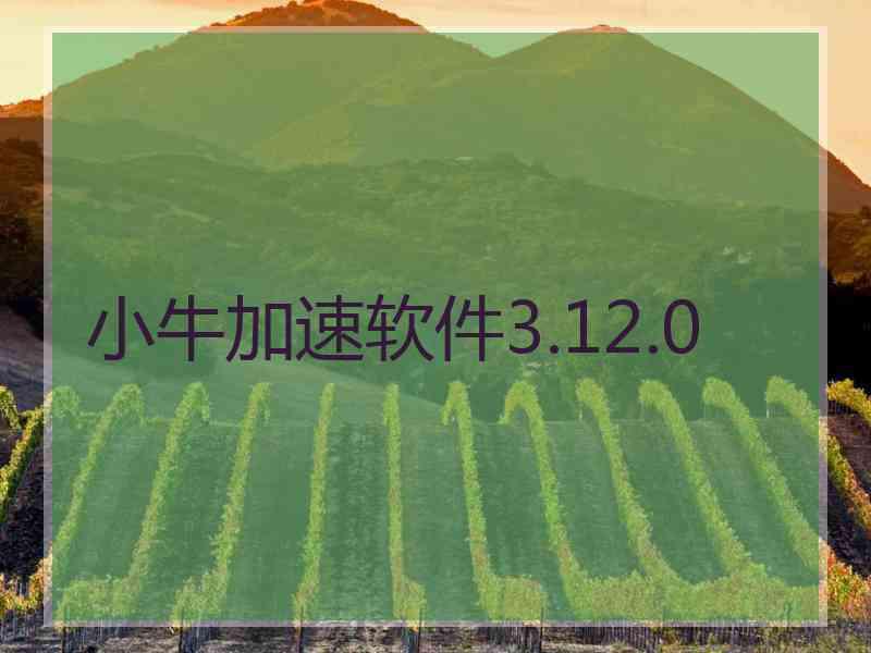 小牛加速软件3.12.0