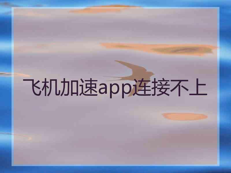 飞机加速app连接不上