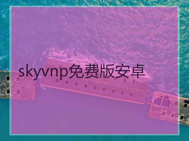 skyvnp免费版安卓