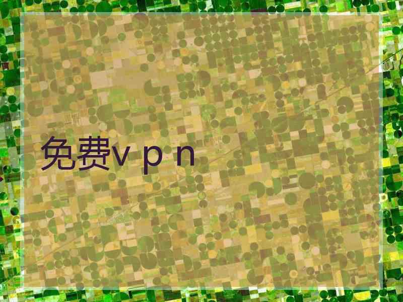 免费v p n