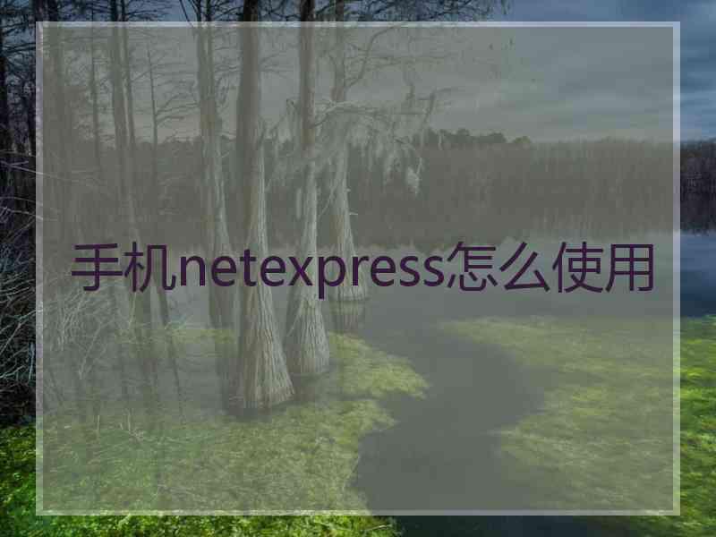 手机netexpress怎么使用