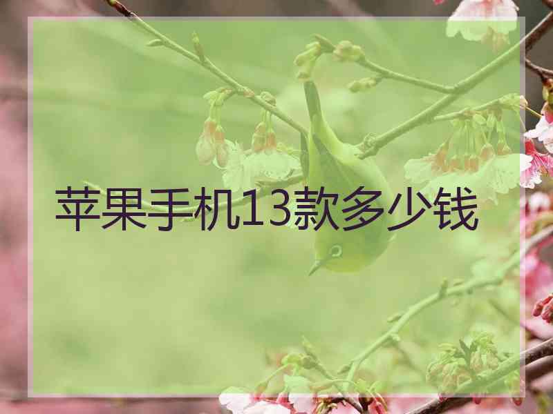 苹果手机13款多少钱