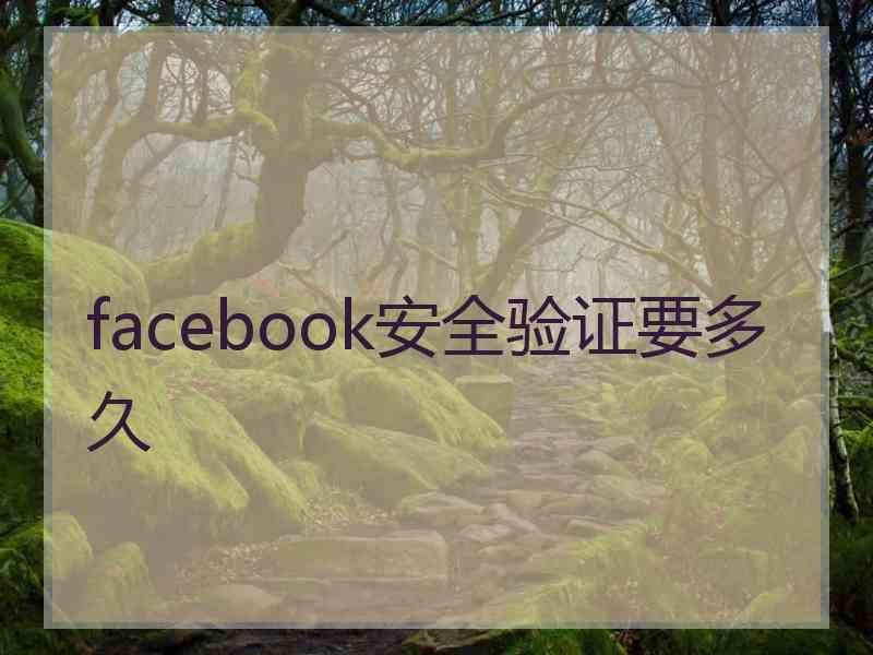 facebook安全验证要多久