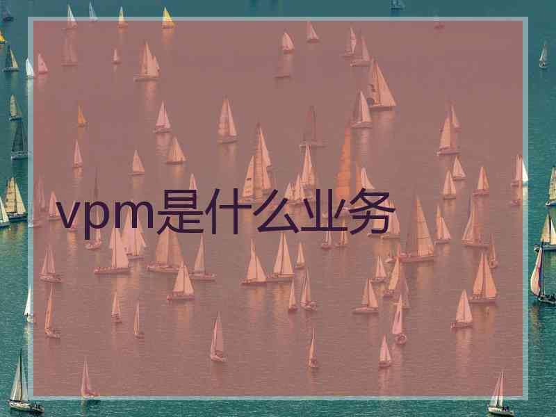 vpm是什么业务