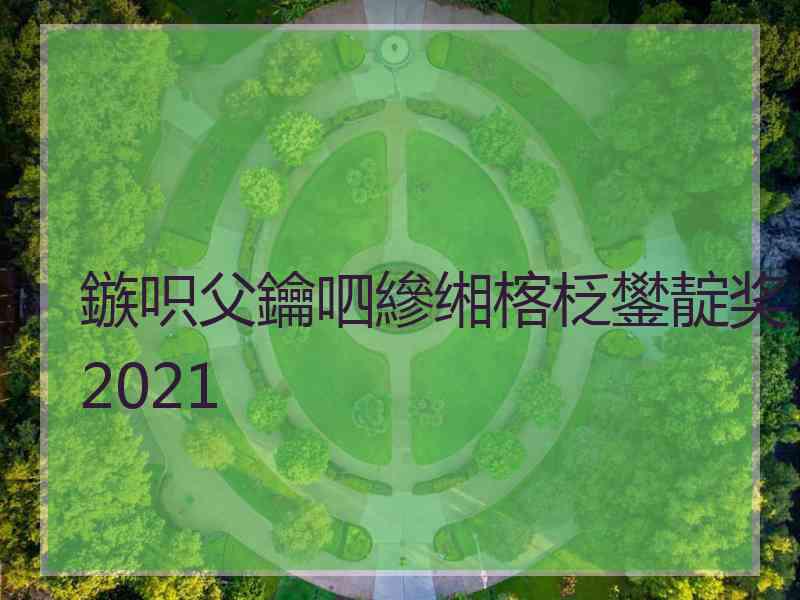 鏃呮父鑰呬縿缃楁柉鐢靛奖2021