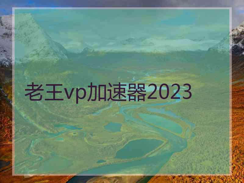 老王vp加速器2023