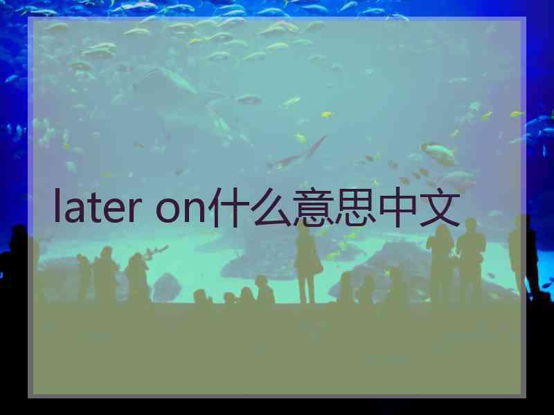 later on什么意思中文