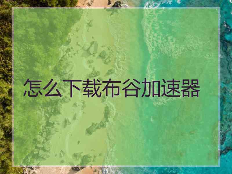 怎么下载布谷加速器