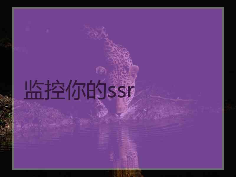 监控你的ssr