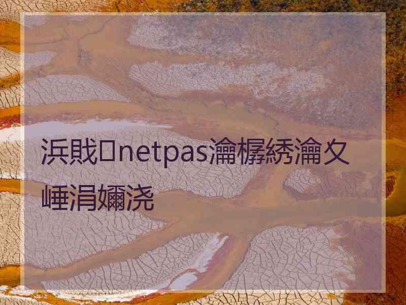 浜戝netpas瀹樼綉瀹夊崜涓嬭浇