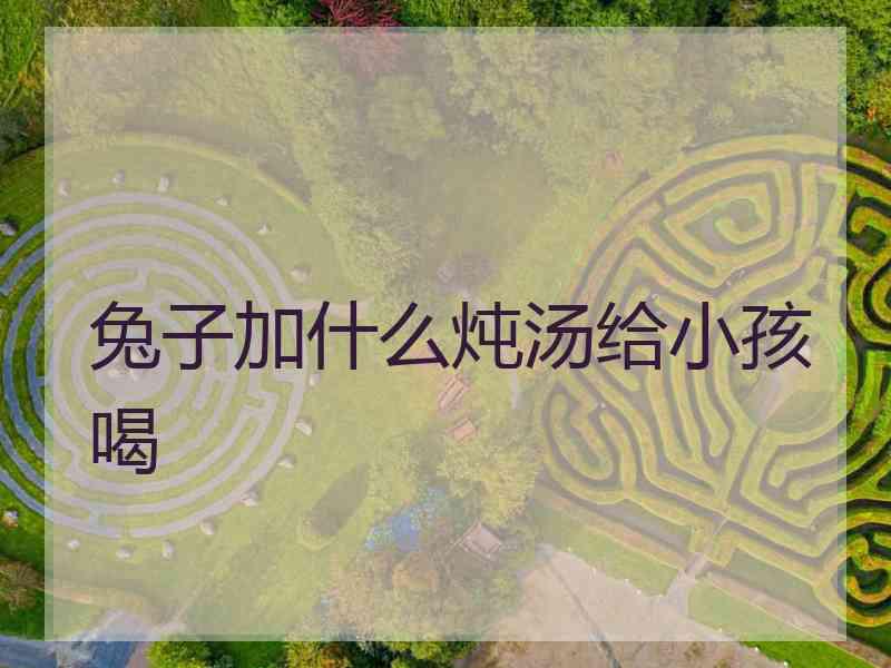 兔子加什么炖汤给小孩喝