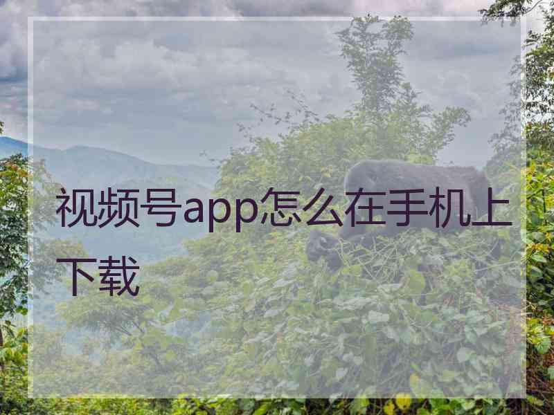 视频号app怎么在手机上下载