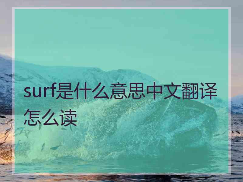 surf是什么意思中文翻译怎么读