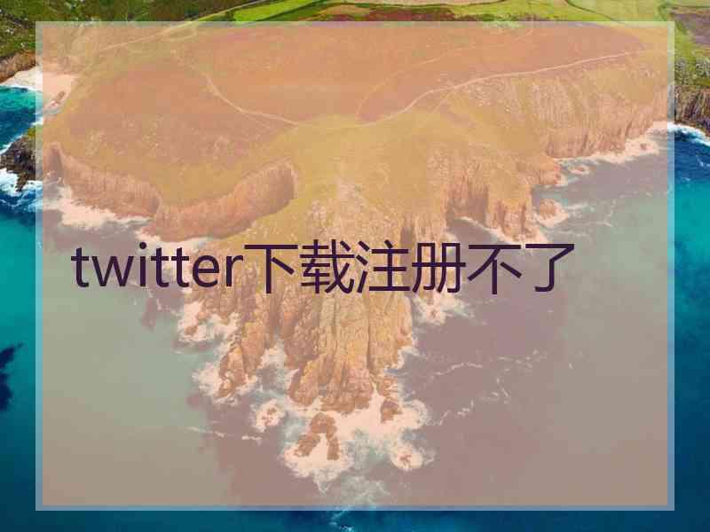 twitter下载注册不了