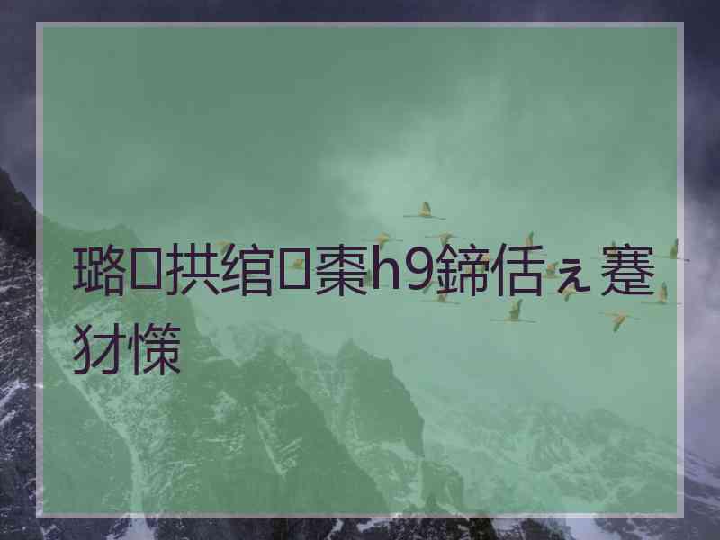 璐拱绾㈡棗h9鍗佸ぇ蹇犲憡