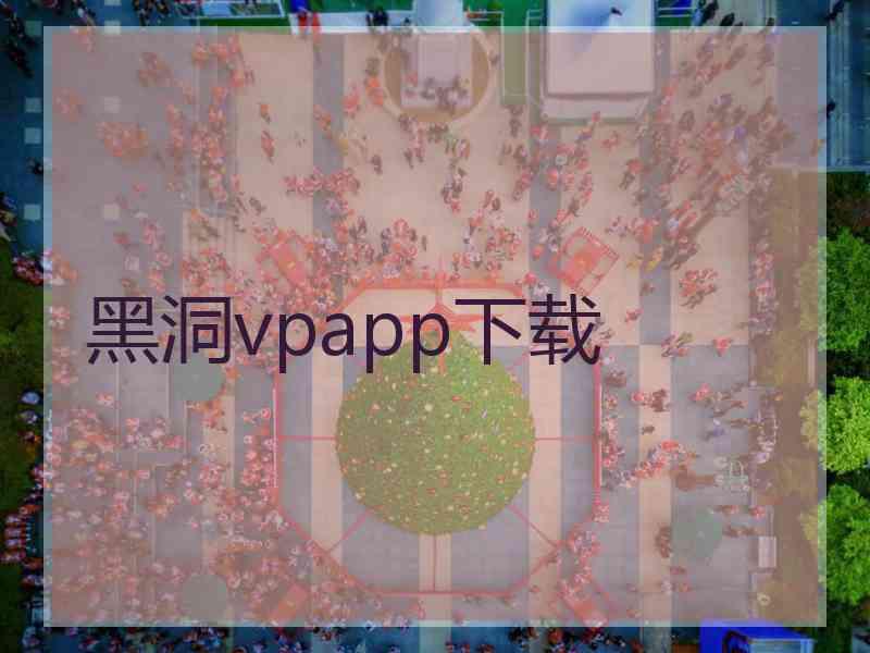 黑洞vpapp下载