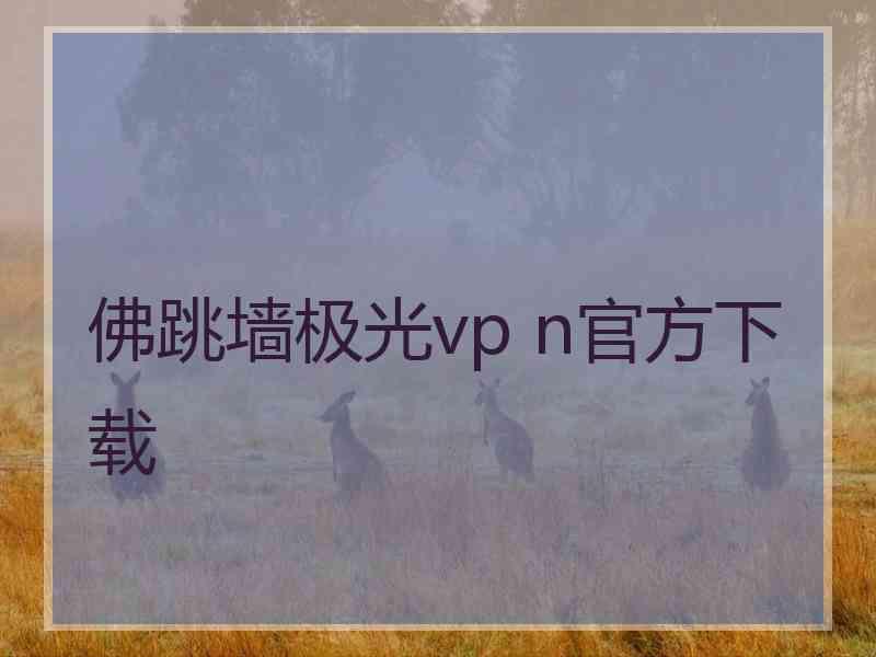 佛跳墙极光vp n官方下载