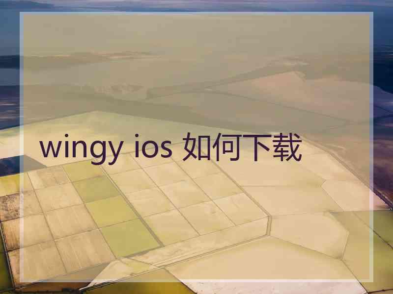 wingy ios 如何下载