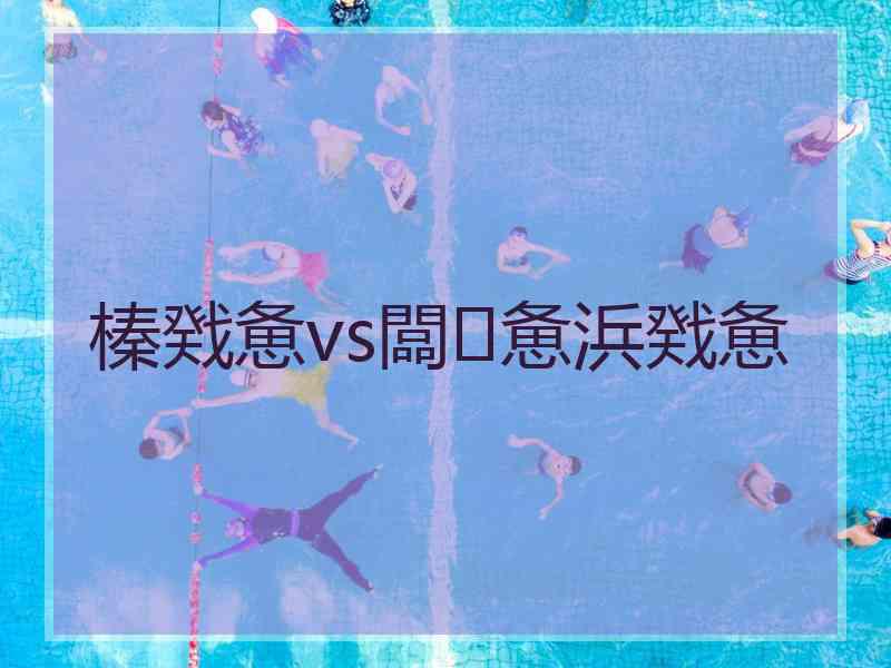 榛戣惫vs闆惫浜戣惫