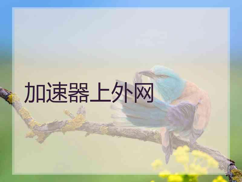 加速器上外网