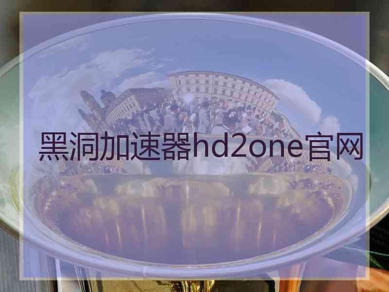 黑洞加速器hd2one官网