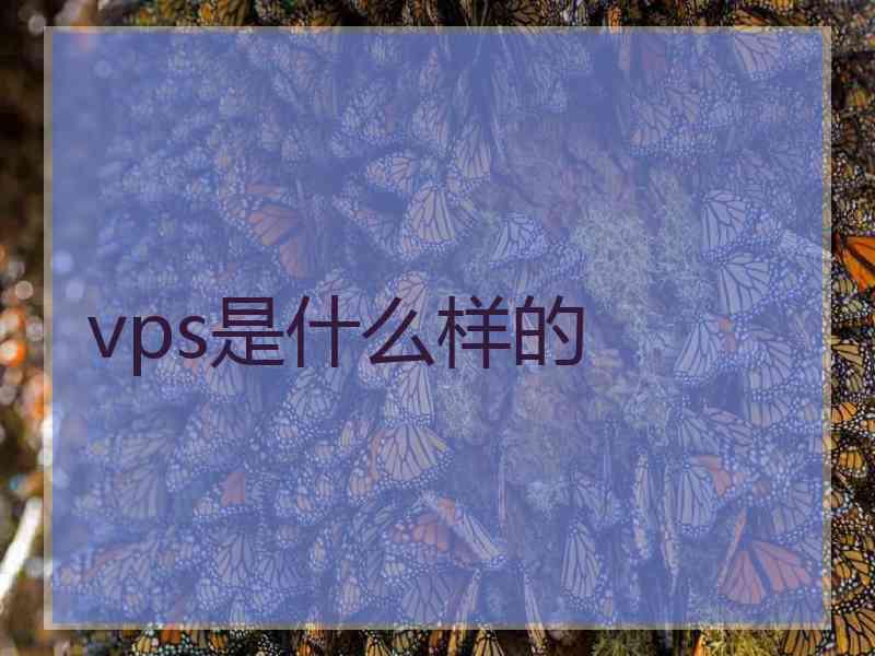 vps是什么样的