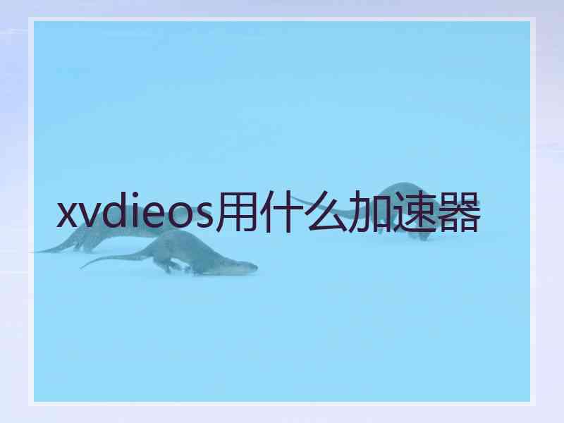 xvdieos用什么加速器