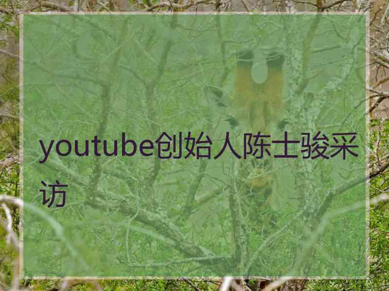 youtube创始人陈士骏采访