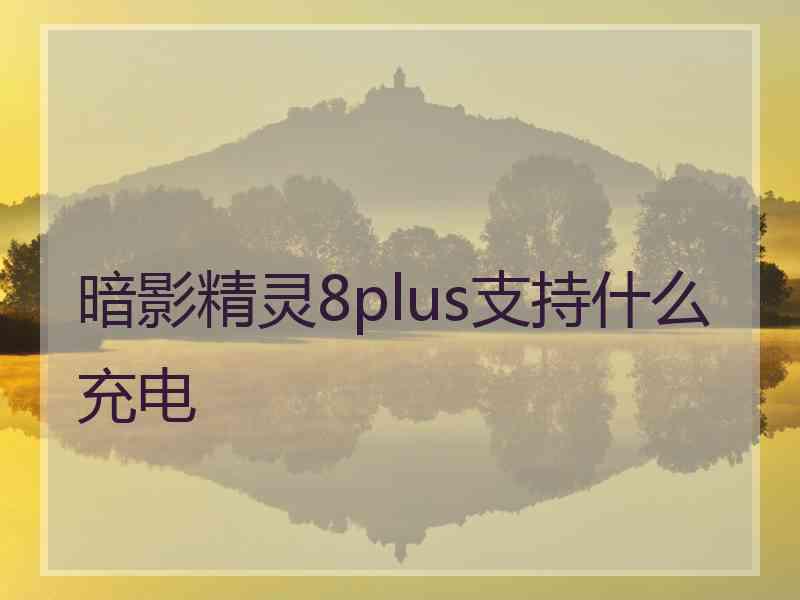 暗影精灵8plus支持什么充电