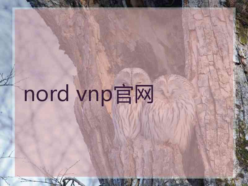 nord vnp官网