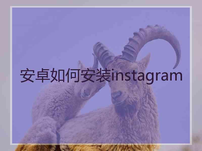 安卓如何安装instagram