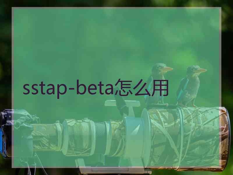 sstap-beta怎么用