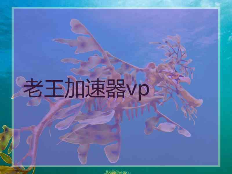 老王加速器vp