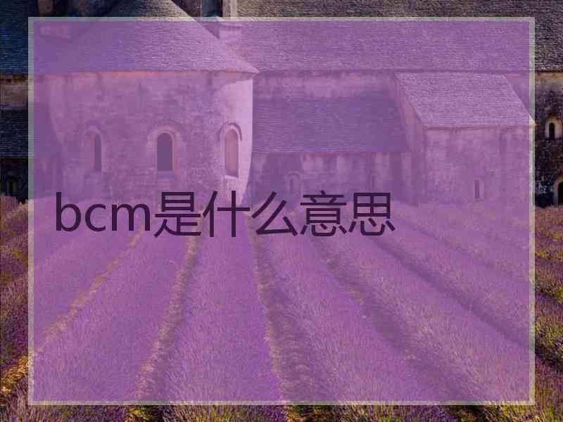 bcm是什么意思