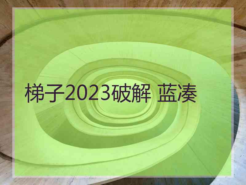 梯子2023破解 蓝凑