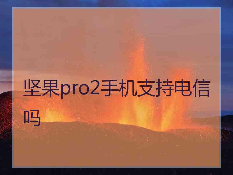 坚果pro2手机支持电信吗