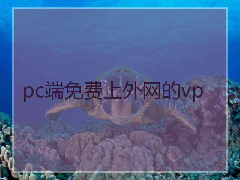 pc端免费上外网的vp