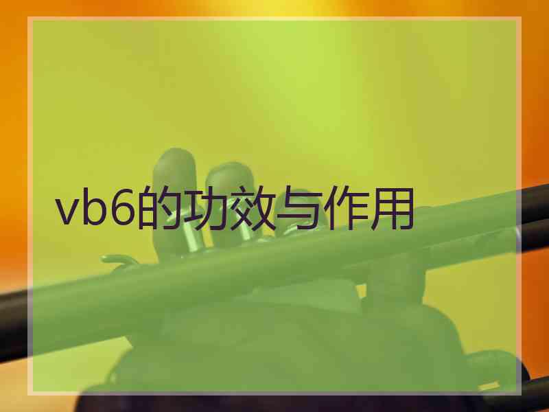 vb6的功效与作用