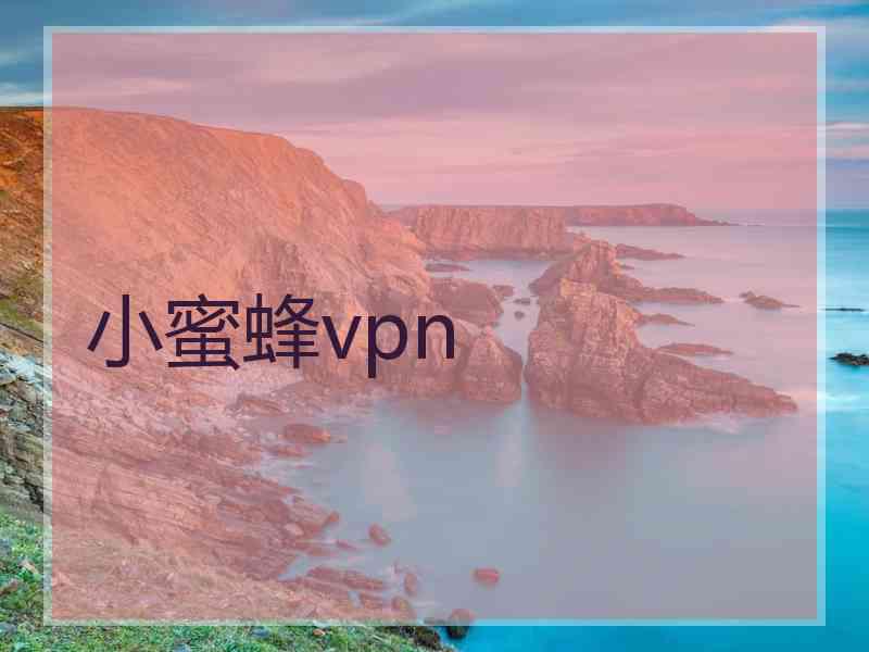 小蜜蜂vpn